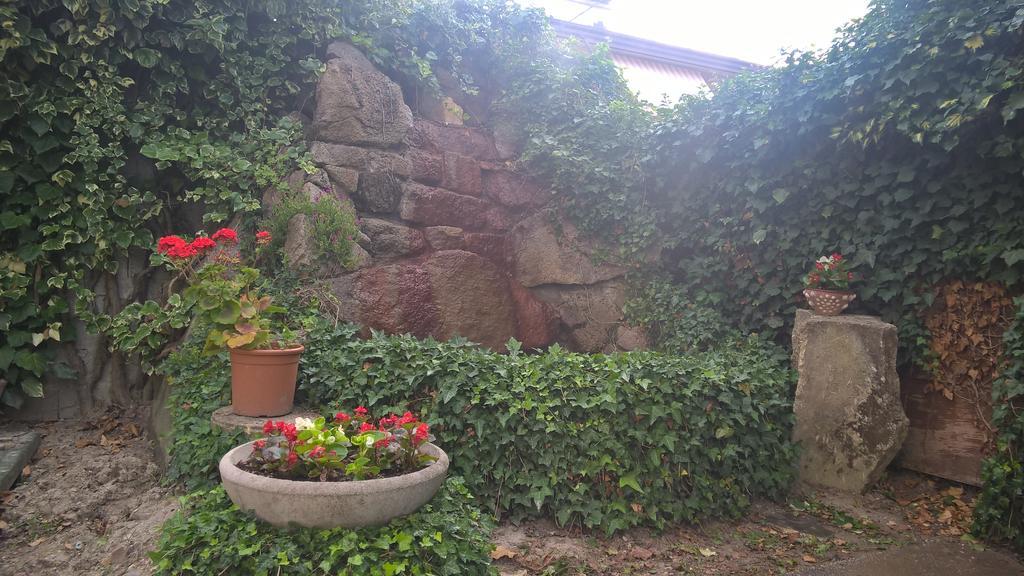 Hotel Terme Belvedere 2*