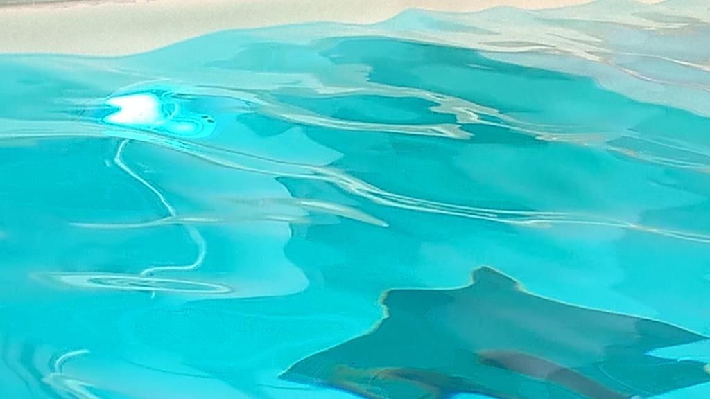 Terme Belvedere Abano Terme
